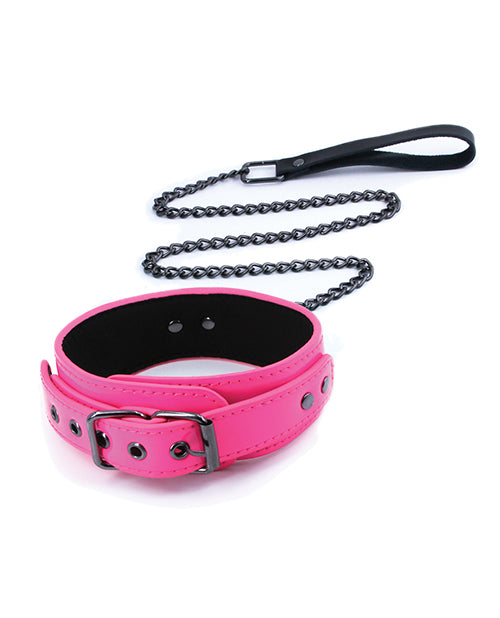 Electra Collar & Leash